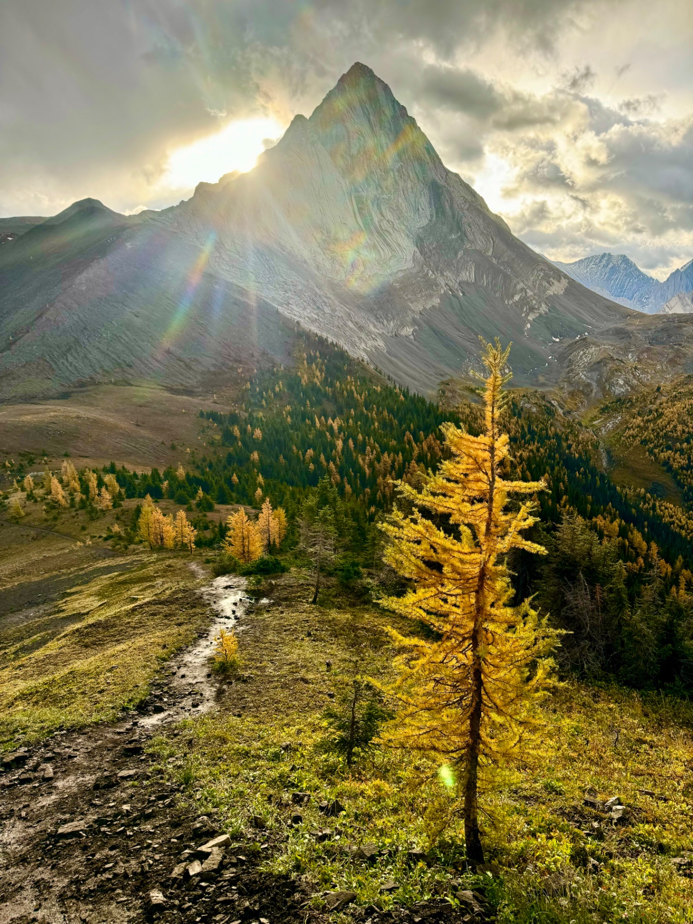 A dramatic rocky mountain peak backlit by the sun, with golden autumn larch in the foreground and a winding stream through an alpine meadow below.