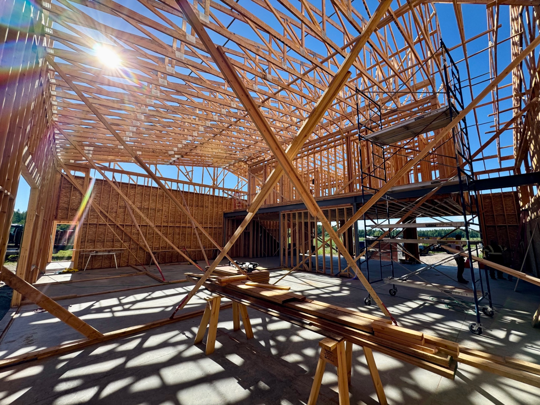Timber framing rising under a bright Montana sky, showing the build phase of a custom home.